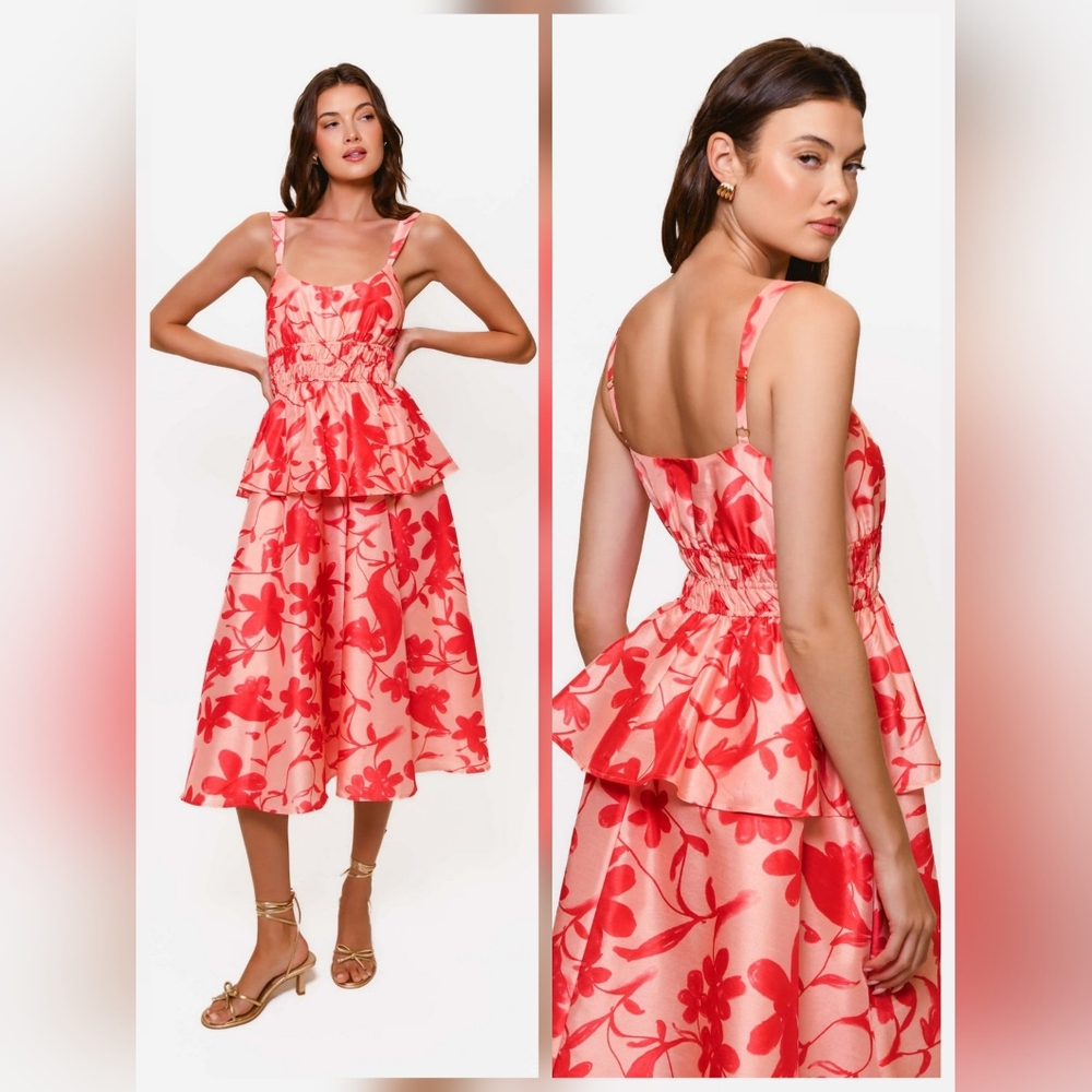 NWOT- Hutch Desirae Dress In Lipstick Floral Sz XS